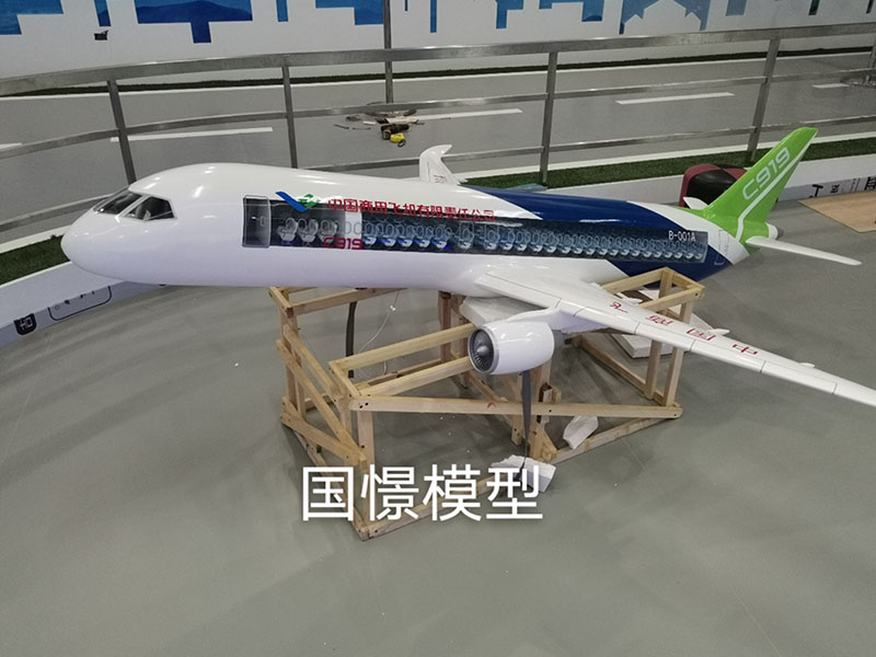 宁远县飞机模型
